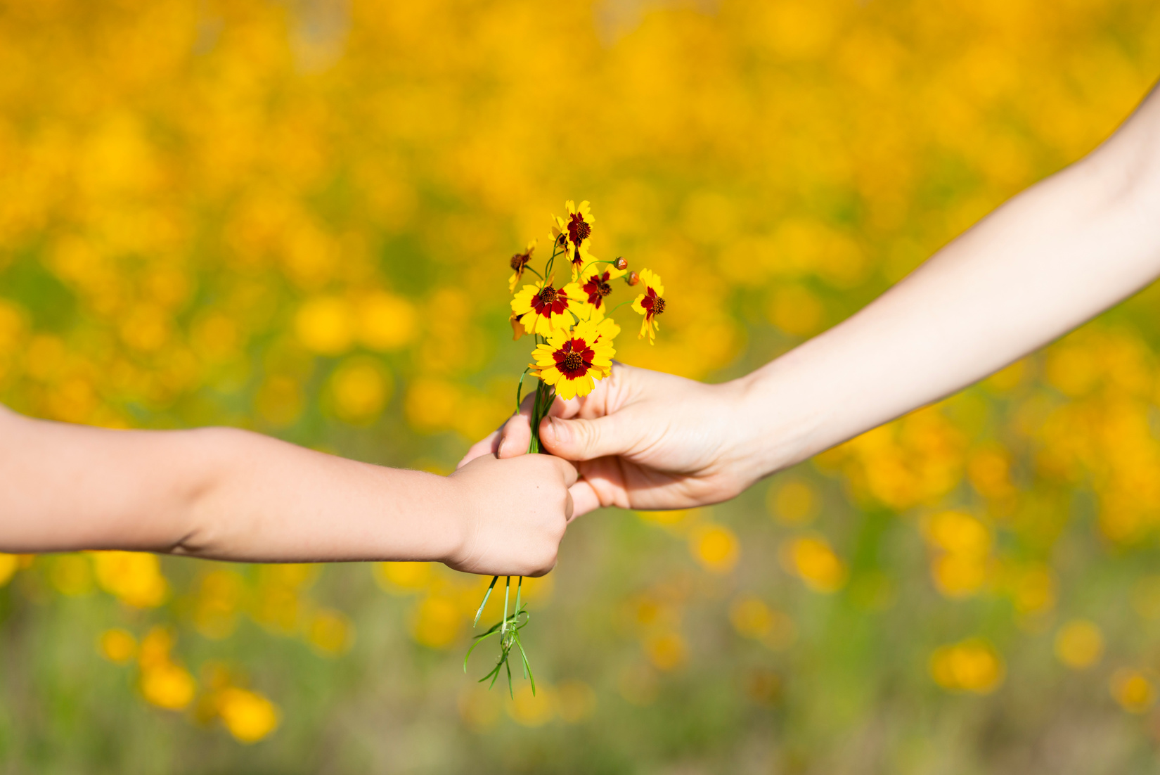 Parents and child give flowers